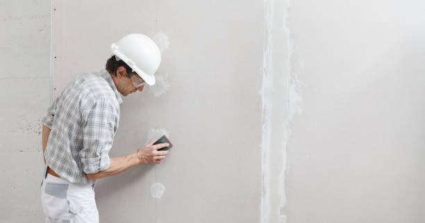  K I Sawyer, MI Mold Removal Pros