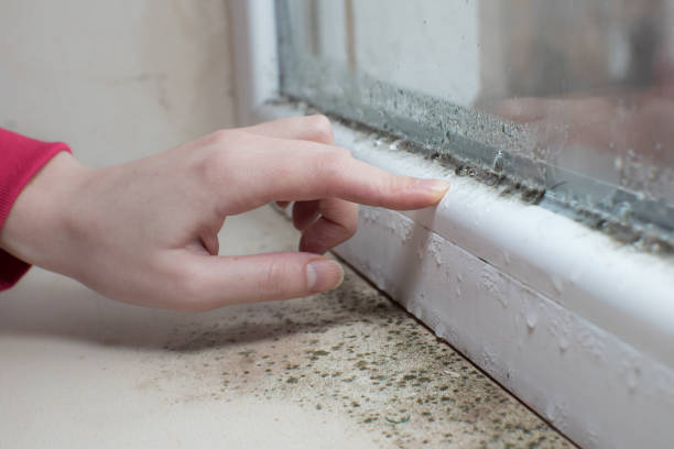 Mold Documentation for Insurance Claims in K I Sawyer, MI